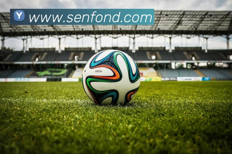 九游体育APP 封面图