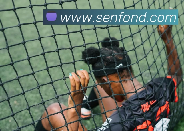 数据防护可视化